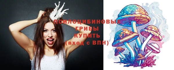 не бодяженный Белокуриха